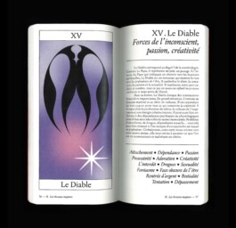 Charlotte Vard • Graphic Design & Art Direction