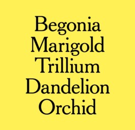 Charlotte Vard • Graphic Design & Art Direction