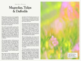 Charlotte Vard • Graphic Design & Art Direction