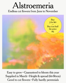 Charlotte Vard • Graphic Design & Art Direction