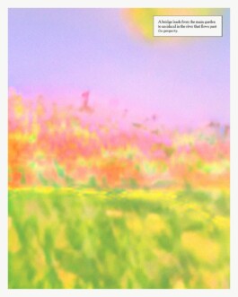 Charlotte Vard • Graphic Design & Art Direction