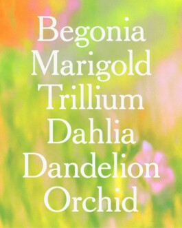 Charlotte Vard • Graphic Design & Art Direction